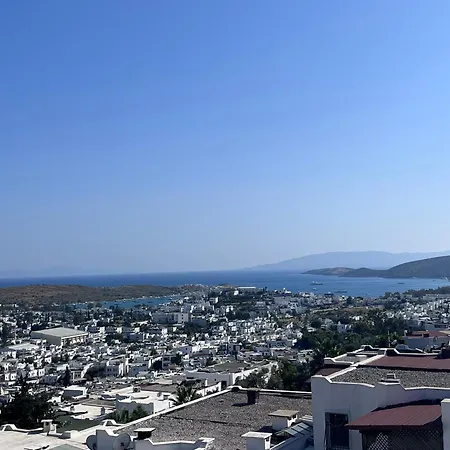Of House Bodrum