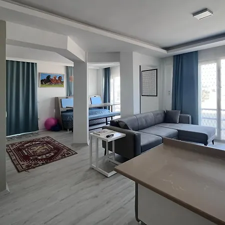 Of House * Bodrum