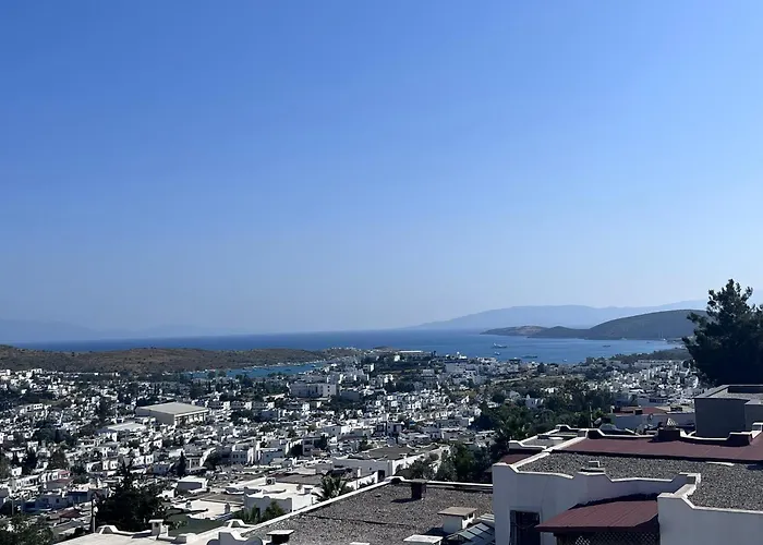 Of House Bodrum