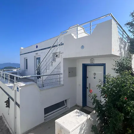 Villa Of House *