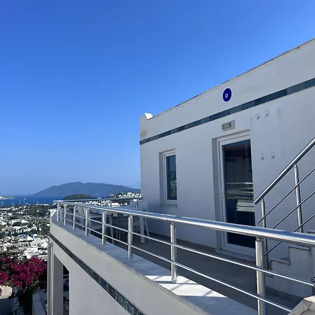 Of House Vilă Bodrum